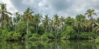 Kerala backwaters, India