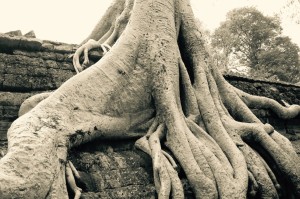 Angkor Wat, Cambodia       